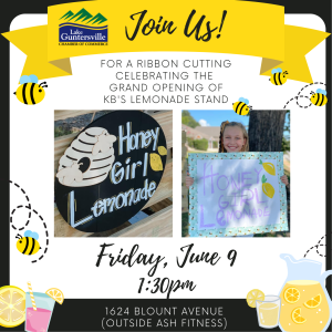 Join us this Friday, June 9 at 1:30 pm to help us celebrate our newest and littlest member - Honey Girl Lemonade, operated by Kinleigh-Blake Williams! Her gourmet lemonade stand will be set up in front of ASH Fitness at 1624 Blount Avenue. So come join the festivities and enjoy a delightful gourmet lemonade!