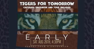 This is Tigers for Tomorrow's last Early Sunset Tour and Encounter for the summer! Saturday August 26th at 4:30PM The evening will include: •Capybara Encounter ▪︎Early Sunset Tour Make sure to arrive on time as we start with your Capybara Encounter at 4:30pm. After you meet Hansel and Gretel, we will take you on a hike to see tigers, lions, wolves, bears & more. You will be serenaded by the roaring of the lions and the howling of the wolves. A great way to start an evening of adventure! Space is limited, reservations are required. Purchase your tickets on our website to reserve your spot. Tickets are $50 per person.